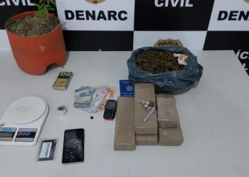 Polícia Civil apreende mais de 3 kg de maconha em Aracaju