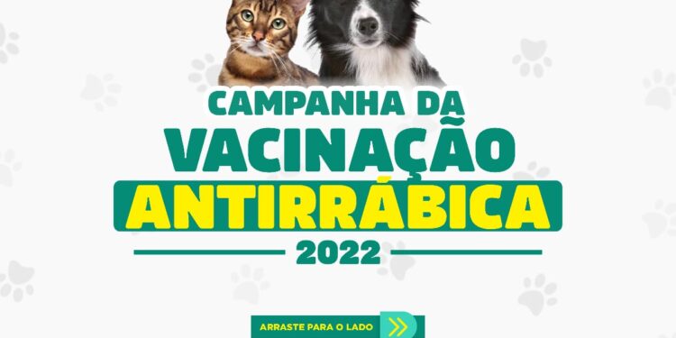 Prefeitura de Socorro inicia Campanha anual de Vacinação Antirrábica