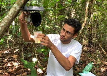 Pesquisadores da UFS investigam circulação do vírus da febre amarela em Sergipe