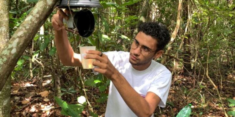 Pesquisadores da UFS investigam circulação do vírus da febre amarela em Sergipe