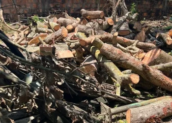 PM flagra ponto de venda e fábrica ilegal de carvão em Carmópolis