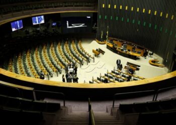 Câmara dos Deputados terá número recorde de mulheres e negros em 2023