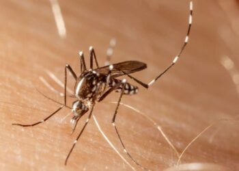 Número de novos casos de dengue explode no Brasil e cenário é alarmante, informa médico especialista