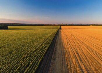 Mudanças climáticas são a maior preocupação de 72% dos produtores de soja