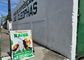 Aracaju inicia nova fase da campanha de vacinação antirrábica com o Drive Tudo Pet