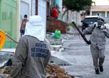 PMA divulga cronograma semanal de aplicação do fumacê costal
