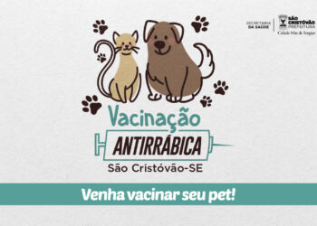 Prefeitura de São Cristóvão iniciará campanha de vacinação antirrábica em pontos fixos na próxima sexta-feira (14): confira os locais