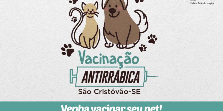 Prefeitura de São Cristóvão iniciará campanha de vacinação antirrábica em pontos fixos na próxima sexta-feira (14): confira os locais