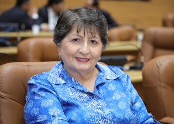 Maria Mendonça propõe programa de transferência de renda para crianças e adolescentes órfãos de vítimas de feminicídio