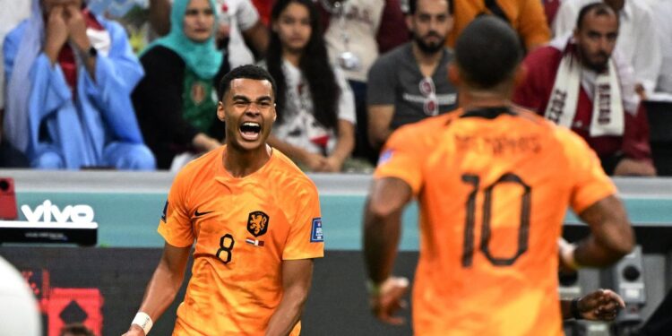 Holanda supera Catar por 2 a 0 para avançar como primeira do Grupo A