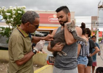 Prefeitura de Socorro imuniza mais de 15 mil animais durante o Dia D de Vacinação Antirrábica