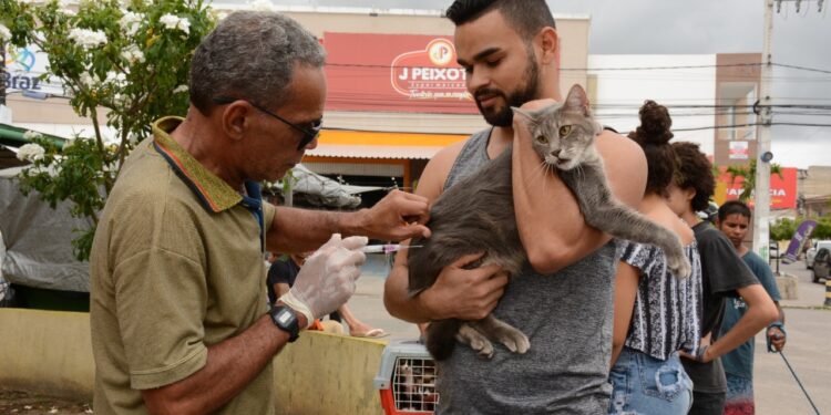 Prefeitura de Socorro imuniza mais de 15 mil animais durante o Dia D de Vacinação Antirrábica