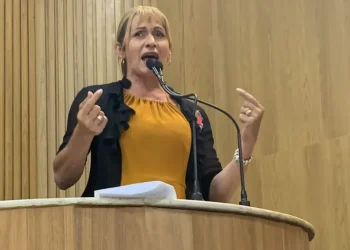 Vereadora Linda Brasil denuncia os atos antidemocráticos