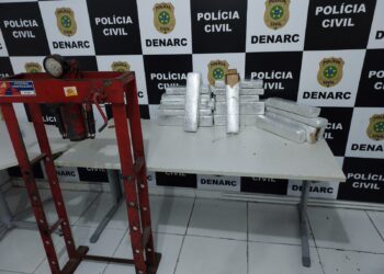 Denarc apreende mais de 30kg de drogas em Aracaju