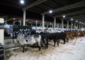 Estado anuncia R$ 120 milhões em crédito para a agropecuária sergipana com novo Plano Safra