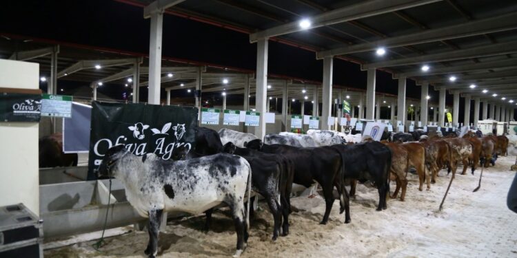 Estado anuncia R$ 120 milhões em crédito para a agropecuária sergipana com novo Plano Safra