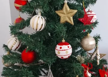 Energisa alerta sobre cuidados na decoração natalina para evitar acidentes