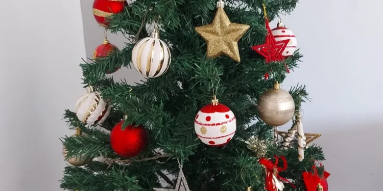Energisa alerta sobre cuidados na decoração natalina para evitar acidentes