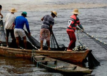 400 mil pescadores artesanais em todo país já podem solicitar o pagamento do benefício Seguro Defeso 2015-2016