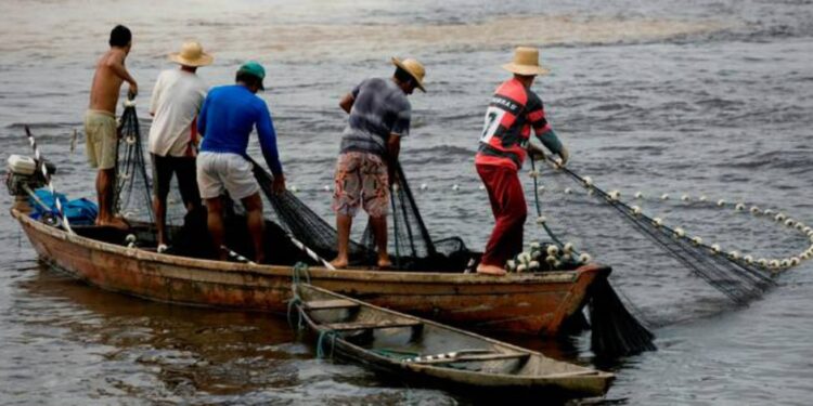 400 mil pescadores artesanais em todo país já podem solicitar o pagamento do benefício Seguro Defeso 2015-2016