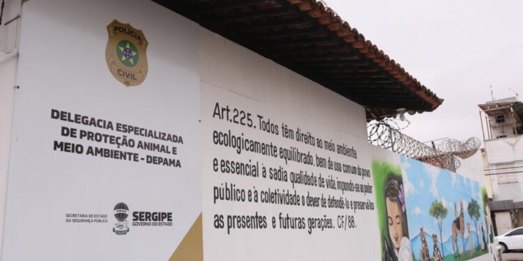 Depama esclarece caso de suposto abandono de animal na Zona Norte de Aracaju