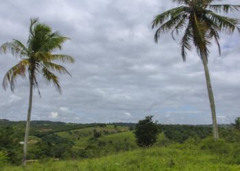 Chuvas leves continuam pelos próximos dias em todo o Estado