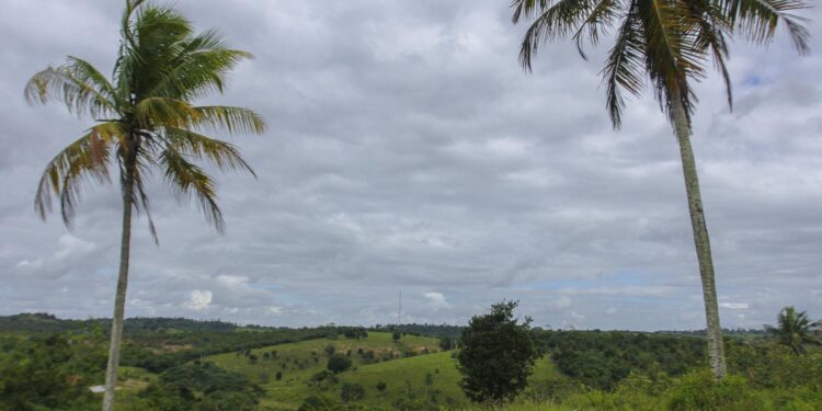 Chuvas leves continuam pelos próximos dias em todo o Estado
