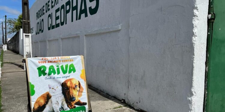 Aracaju conclui campanha antirrábica com 76% dos animais imunizados