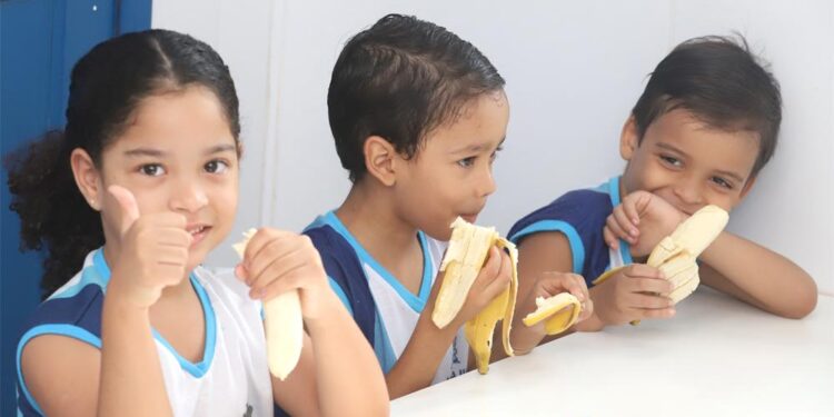 Em Aracaju, alimentação escolar conta com produtos da agricultura familiar