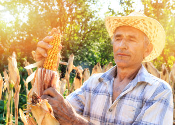 Banese + Agro inicia projeto piloto com ferramenta de análise climática para o campo