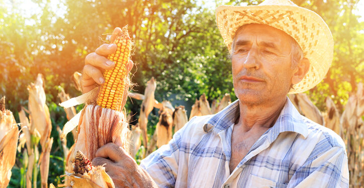 Banese + Agro inicia projeto piloto com ferramenta de análise climática para o campo