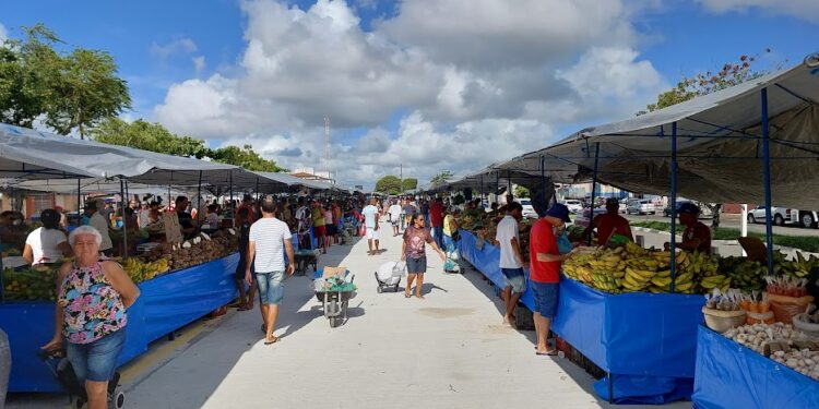 Prefeitura de Aracaju antecipa feiras livres em virtude das festas de fim de ano