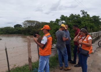Defesa Civil Estadual divulga panorama de ocorrências e ações de resposta às chuvas intensas nos municípios