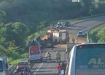 Motorista tomba caminhão após ataque de abelhas na BR-235