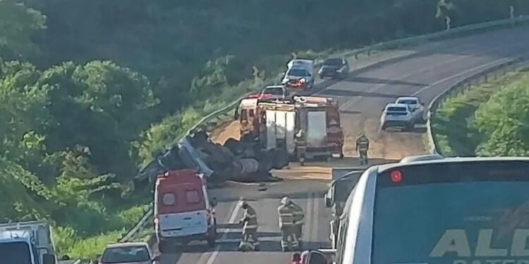 Motorista tomba caminhão após ataque de abelhas na BR-235