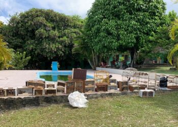 Polícia Militar apreende mais de 100 aves em Itabaiana