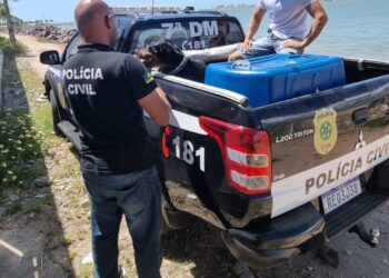 Polícia Civil resgata cachorro vítima de maus-tratos na Grande Aracaju