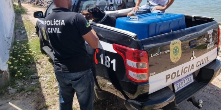 Polícia Civil resgata cachorro vítima de maus-tratos na Grande Aracaju
