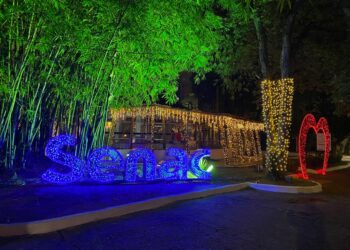 Cacique Chá terá mais dois festivais gastronômicos até o encerramento do Natal Iluminado
