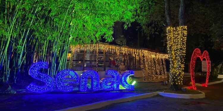 Cacique Chá terá mais dois festivais gastronômicos até o encerramento do Natal Iluminado