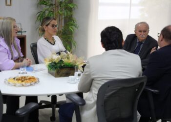 Federação dos Hospitais Filantrópicos se reúne com Presidente da Alese