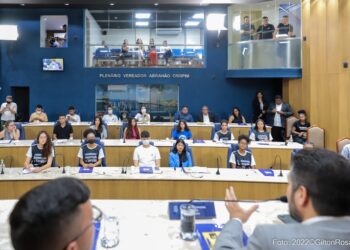 Audiência Pública discute Juventude como política de Estado