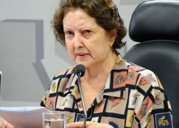 Brasil segue longe de metas do Plano Nacional de Educação; senadora Maria do Carmo Alves lamenta
