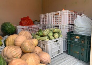 Sergipe inicia processo de regionalização da alimentação escolar
