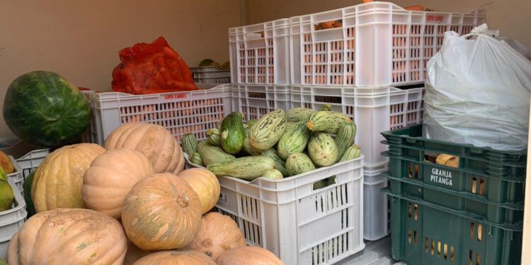 Sergipe inicia processo de regionalização da alimentação escolar