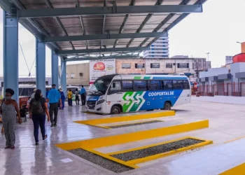 Transporte intermunicipal terá aumento de frota durante o Réveillon e passará de 620 para 650 veículos