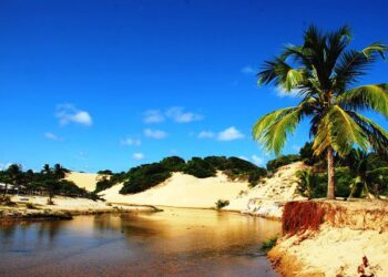 Cinco destinos de viagens imperdíveis para conhecer em Sergipe