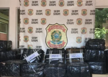 Policia Federal apreende mais de meia tonelada de Maconha em carroceria de caminhão em Sergipe