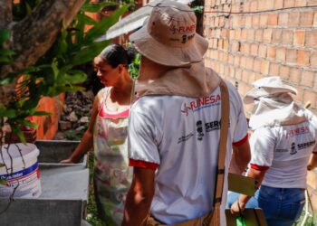 LIRAa identifica sete municípios em situação de alto risco de infestação pelo Aedes aegypti