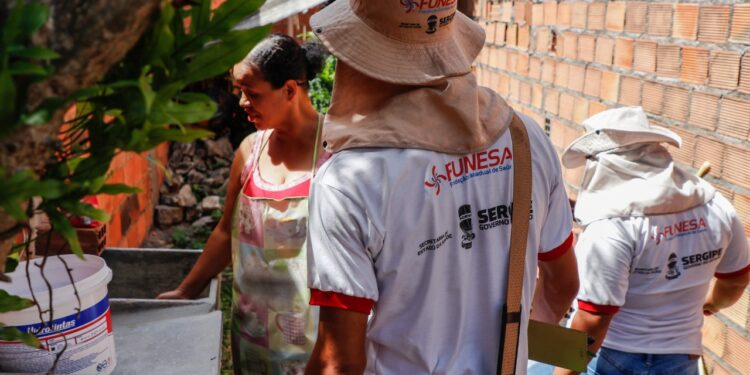 LIRAa identifica sete municípios em situação de alto risco de infestação pelo Aedes aegypti